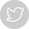 icon twitter rund grau